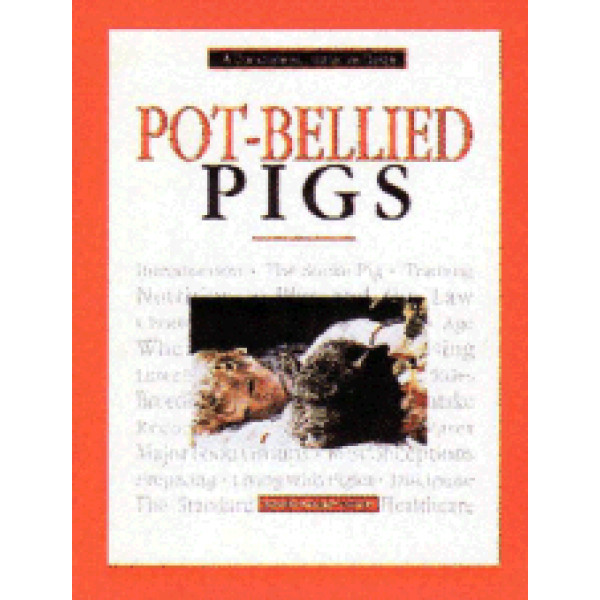 PIGS - POT BELLIED